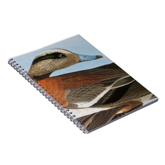 Audubon: Wigeon ノートブック (右側)