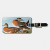 Audubon: Wigeon ラゲッジタグ (正面横)