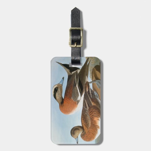 Audubon: Wigeon ラゲッジタグ (正面縦)