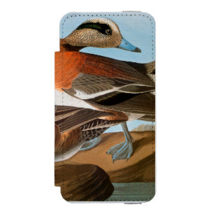 Audubon: Wigeon iPhone SE/5/5sウォレットケース