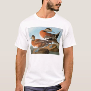 Audubon: Wigeon Tシャツ