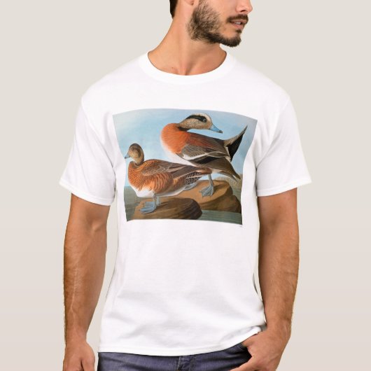 Audubon: Wigeon Tシャツ (正面)