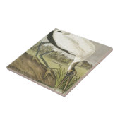 Audubonsのアメリカトキコウ タイル (側面)