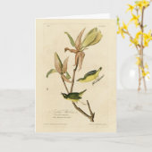 Audubon's Birds of Americaのケンタッキー・ウォーブラー カード (黄色い花)