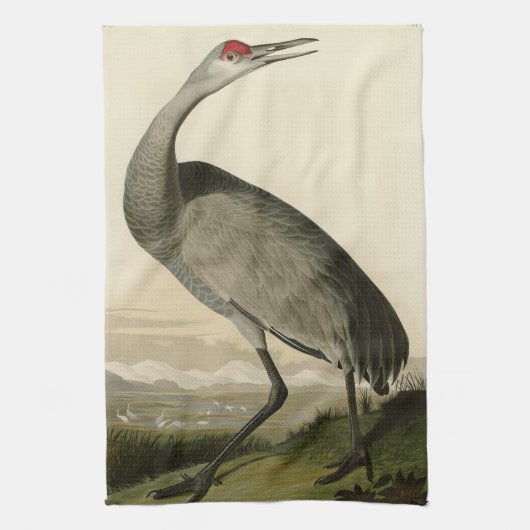Audubon's Birds of Americaのサンドヒルクレーン キッチンタオル (縦)