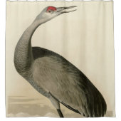 Audubon's Birds of Americaのサンドヒルクレーン シャワーカーテン (正面)