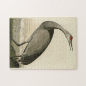 Audubon's Birds of Americaのサンドヒルクレーン ジグソーパズル (横)