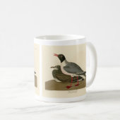 Audubon's Birds of Americaの黒頭カモメ コーヒーマグカップ (正面右)