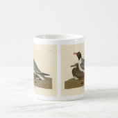 Audubon's Birds of Americaの黒頭カモメ コーヒーマグカップ (中央)