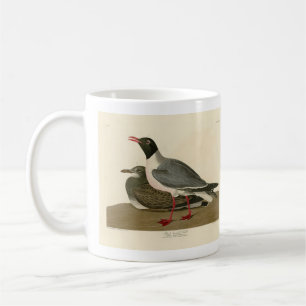 Audubon's Birds of Americaの黒頭カモメ コーヒーマグカップ
