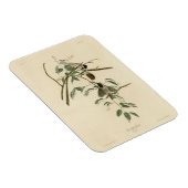 Audubon's Birds of AmericaのCarolina Titmouse マグネット (右側)