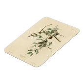 Audubon's Birds of AmericaのCarolina Titmouse マグネット (左側)