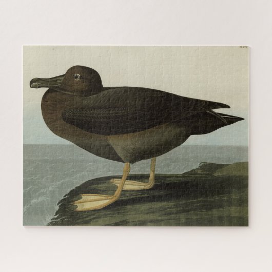 Audubon's Birds of AmericaのDusky Albatross ジグソーパズル (横)