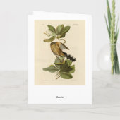 Audubon's Birds of AmericaのMangrove Cuckoo カード (裏面)
