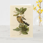 Audubon's Birds of AmericaのMangrove Cuckoo カード (黄色い花)