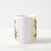 Audubon's Birds of AmericaのMangrove Cuckoo コーヒーマグカップ (中央)