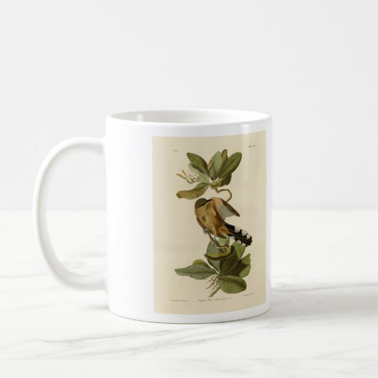 Audubon's Birds of AmericaのMangrove Cuckoo コーヒーマグカップ (左)