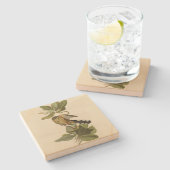 Audubon's Birds of AmericaのMangrove Cuckoo ストーンコースター (横)