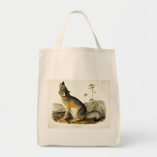 Audubon's Quadrupedsからの迅速なキツネ(Vulpes Velox) トートバッグ (正面)