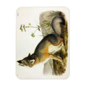 Audubon's Quadrupedsからの迅速なキツネ(Vulpes Velox) マグネット (縦)