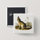 Audubon's Quadrupedsからの迅速なキツネ(Vulpes Velox) 缶バッジ (正面&裏面)