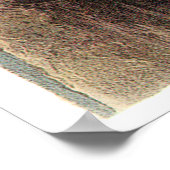 Audubon's Snowy Owl ポスター (角)