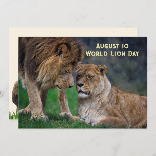 Aug 10, World Lion Day 5 x 7 card シーズンカード (正面/裏面)