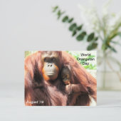 August 19 - World Orangutan Day Postcard シーズンポストカード (スタンド正面)