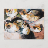 August Macke's Katzenstudien (Study of a Cat) ポストカード (正面)