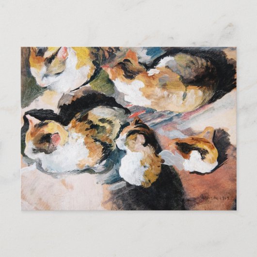 August Macke's Katzenstudien (Study of a Cat) ポストカード (正面)