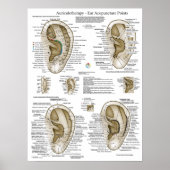 Auriculotherapy Ear Acupuncture Points Chart ポスター (正面)
