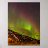 Aurora Borealis | Mountains Fairbanks Alaska ポスター (正面)