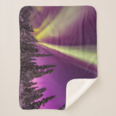 Aurora Borealis Northern Lights Fairbanks Alaska シェルパブランケット (正面)