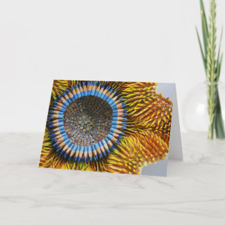 aurora_detail カード