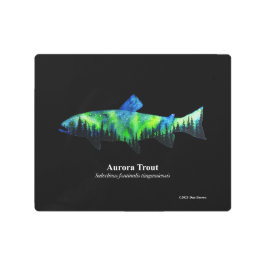 Aurora Trout、メタルプリント、ブラック、10"x8" メタルプリント