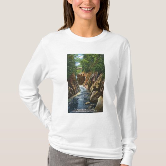Ausableの川滝および橋の眺め Tシャツ (正面)