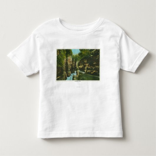 Ausableの溝の眺め トドラーTシャツ (正面)