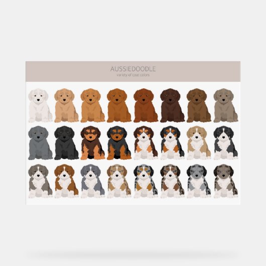 Aussiedoodle dog mix アクリルサイン (正面)