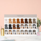 Aussiedoodle dog mix アクリルサイン (ウェディング)