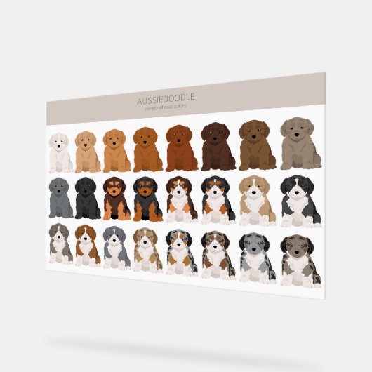 Aussiedoodle dog mix アクリルサイン (傾斜)