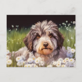 Aussiedoodle mit Gänseblümchen ポストカード (正面)