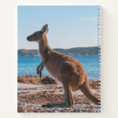 Australia Kangarooのビーチ写真 ノートブック (裏面)