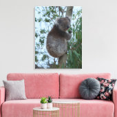 Australia Kangaroo Island Koala in a Tree キャンバスプリント (インサイチュ (リビング))