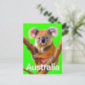 Australia Koala Bear Pop Art ポストカード (スタンド正面)