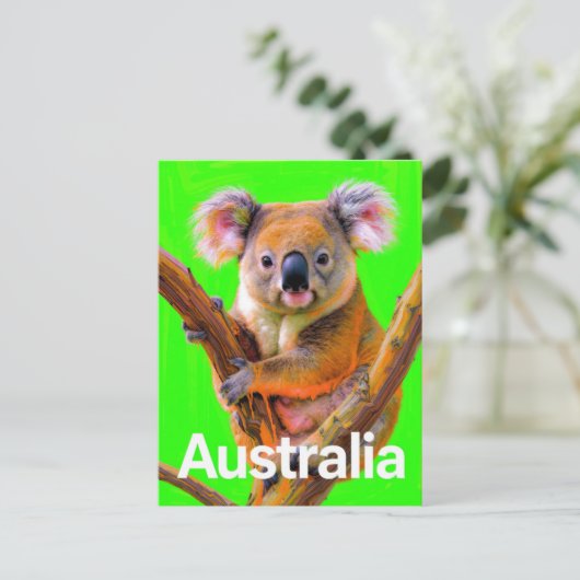 Australia Koala Bear Pop Art ポストカード (スタンド正面)