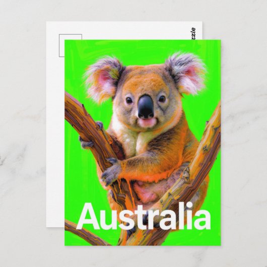 Australia Koala Bear Pop Art ポストカード (正面/裏面)