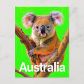 Australia Koala Bear Pop Art ポストカード (正面)