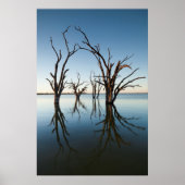 Australia, Murray River Valley, Barmera, Lake ポスター (正面)
