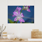 Australia, Northern Territory, Darwin ポスター (キッチン)