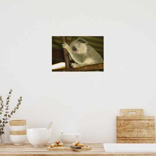 Australia, Queensland, Brisbane. Fig Tree ポスター (キッチン)